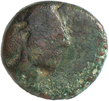 CN Type cn.cersobleptes_odrysian_thrace.1_ed.3, аверс, cn-coins