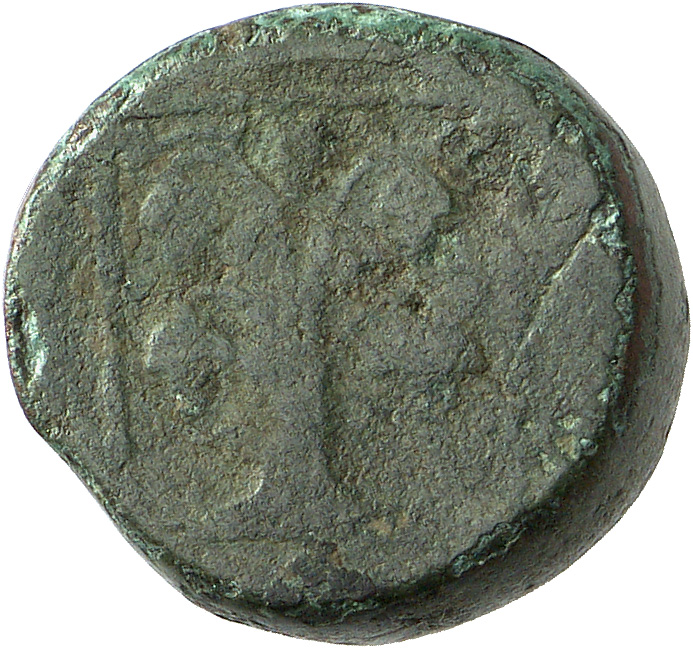CN Type cn.teres_iii_odrysian_thrace.1_ed.6, реверс, cn-coins