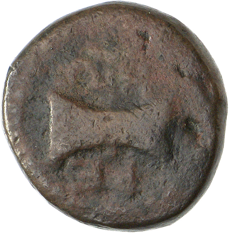 CN Type cn.teres_iii_odrysian_thrace.1_ed.6, аверс, cn-coins