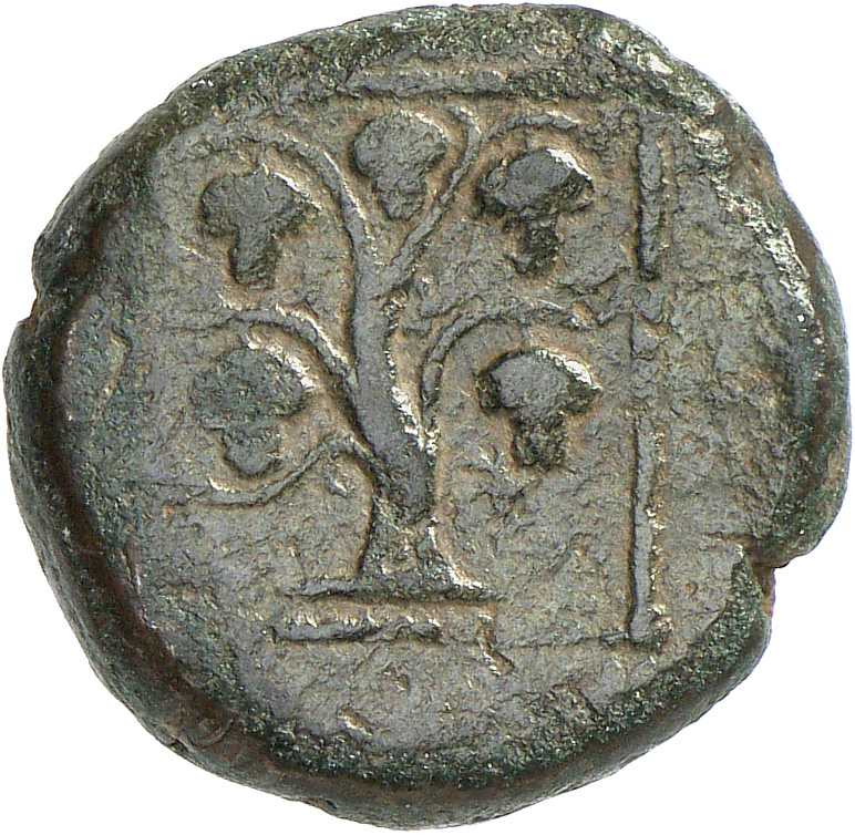 CN Type cn.teres_iii_odrysian_thrace.1_ed.6, реверс, cn-coins