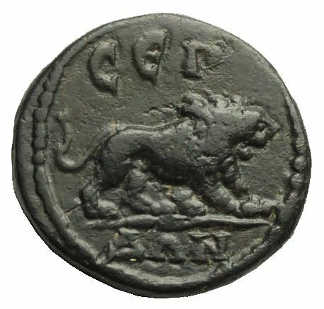 CN Type cn.serdica.1_ed.175, реверс, cn-coins