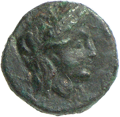 CN Type cn.hebryzelmis_odrysian_thrace.1_ed.4, аверс, cn-coins