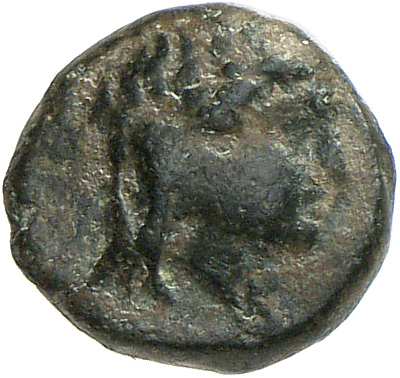 CN Type cn.hebryzelmis_odrysian_thrace.1_ed.4, аверс, cn-coins