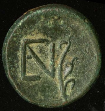 reverse CN Type cn.elaeus.1_ed.1