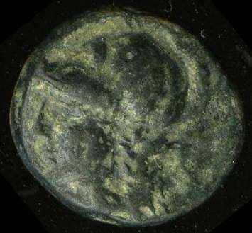 obverse CN Type cn.elaeus.1_ed.9