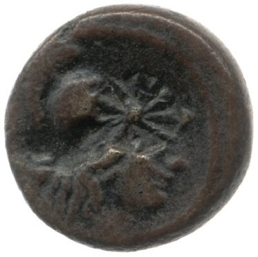 CN Type cn.elaeus.1_ed.11, obverse, cn-coins