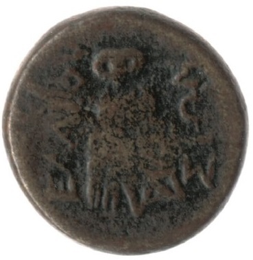 CN Type cn.elaeus.1_ed.11, reverse, cn-coins