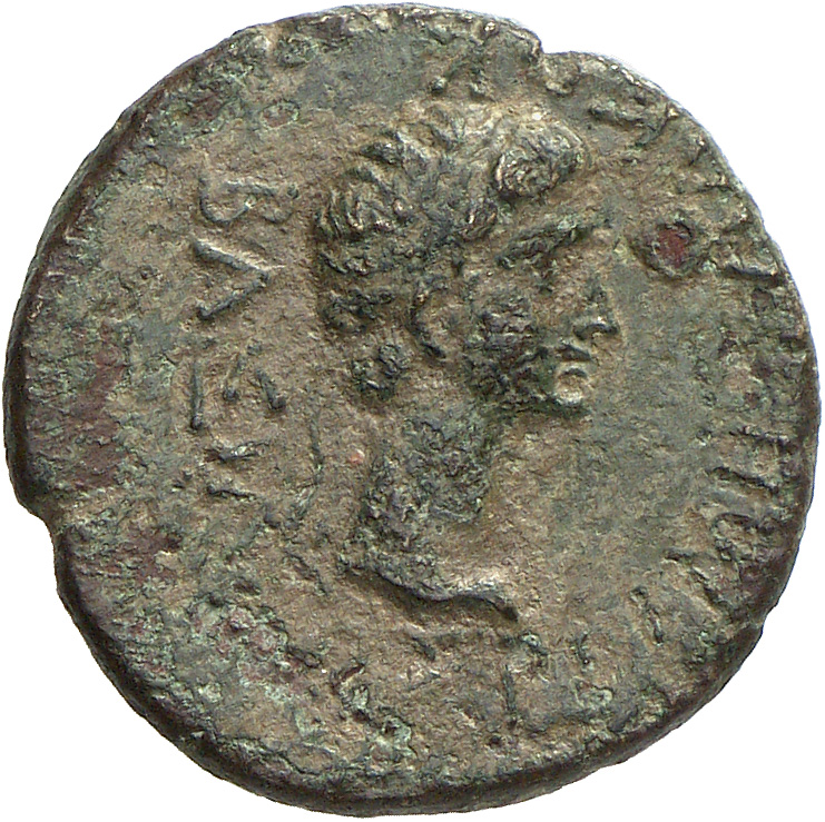 CN Type cn.rhoemetalces_i_sapaean_thrace.1_ed.8, аверс, cn-coins