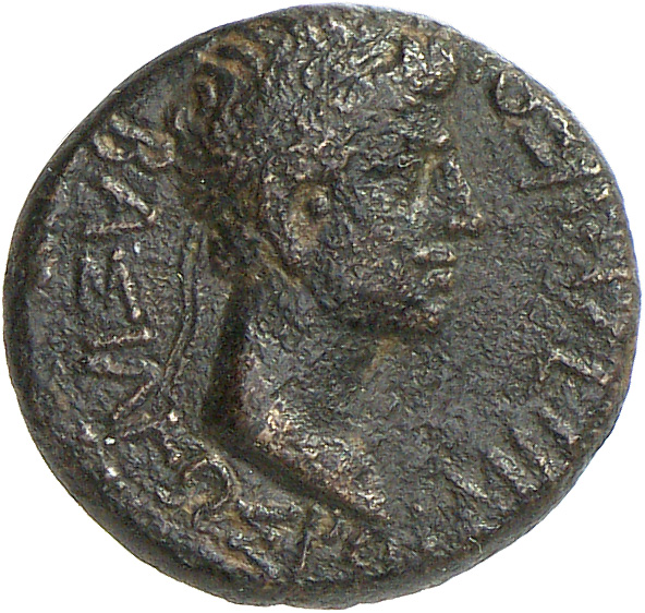 CN Type cn.rhoemetalces_i_sapaean_thrace.1_ed.10, аверс, cn-coins