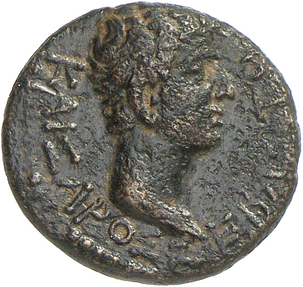 CN Type cn.rhoemetalces_i_sapaean_thrace.1_ed.10, реверс, cn-coins