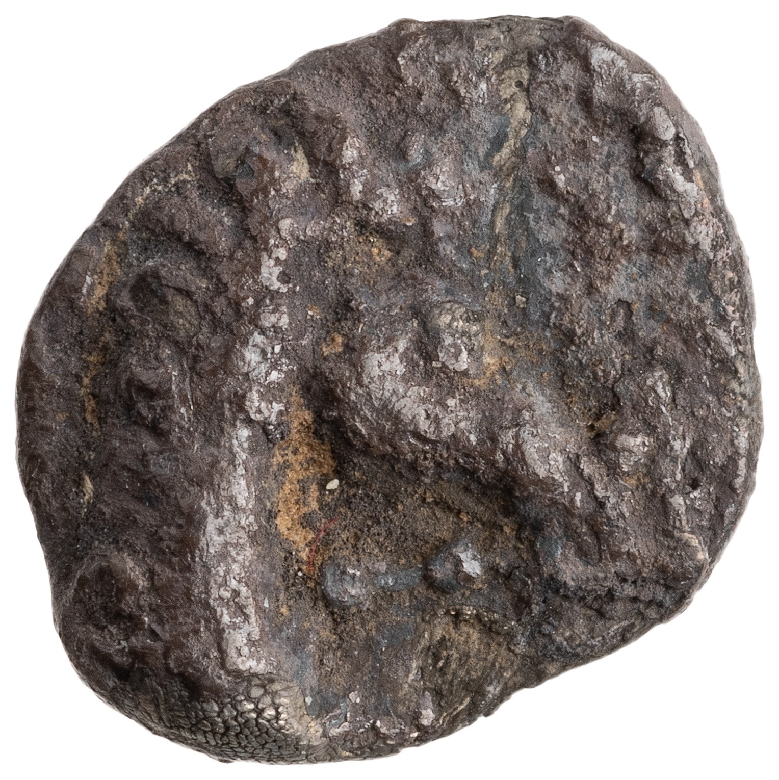 CN Type cn.maroneia.1_ed.11, аверс, cn-coins