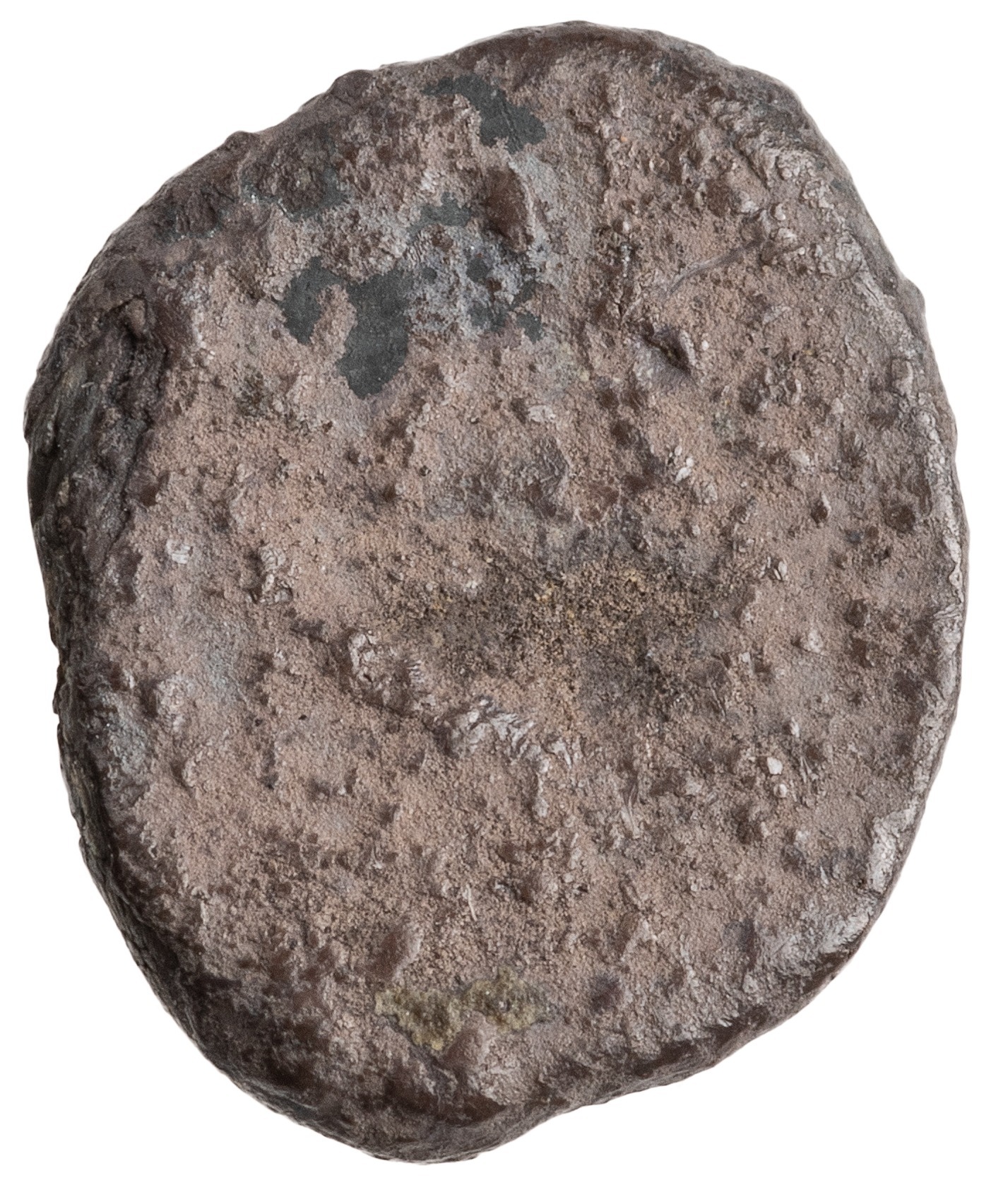 CN Type cn.maroneia.1_ed.11, реверс, cn-coins