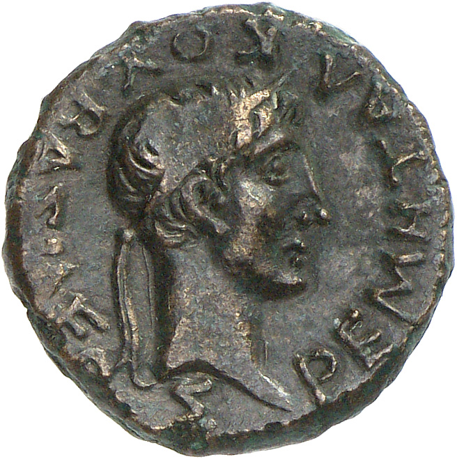 CN Type cn.rhoemetalces_i_sapaean_thrace.1_ed.10, аверс, cn-coins