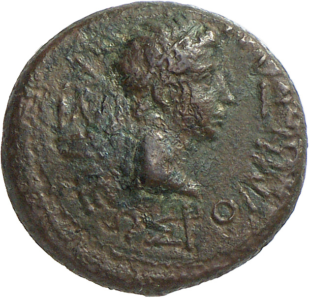 CN Type cn.rhoemetalces_i_sapaean_thrace.1_ed.10, аверс, cn-coins