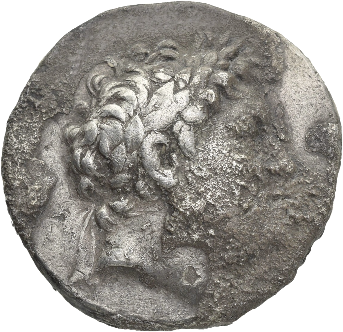 CN Type 8856, аверс, cn-coins