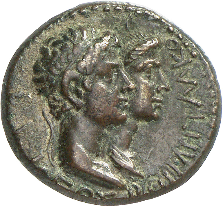 CN Type cn.rhoemetalces_i_sapaean_thrace.1_ed.6, аверс, cn-coins