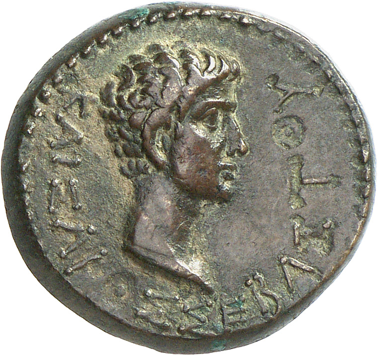 CN Type cn.rhoemetalces_i_sapaean_thrace.1_ed.6, реверс, cn-coins