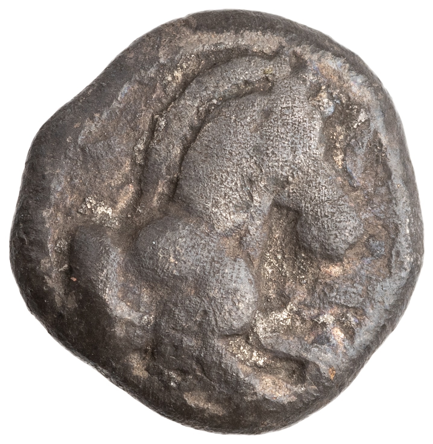 coin obv