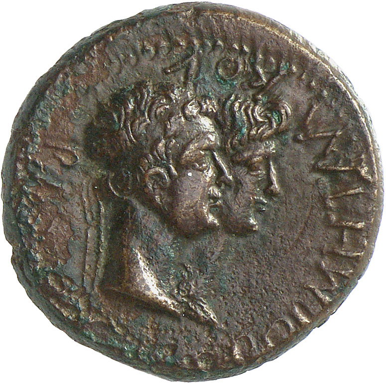 CN Type cn.rhoemetalces_i_sapaean_thrace.1_ed.6, аверс, cn-coins