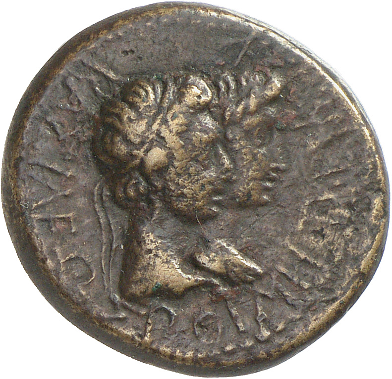 CN Type cn.rhoemetalces_i_sapaean_thrace.1_ed.7, аверс, cn-coins
