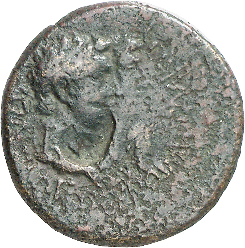 CN Type cn.rhoemetalces_i_sapaean_thrace.1_ed.4, аверс, cn-coins
