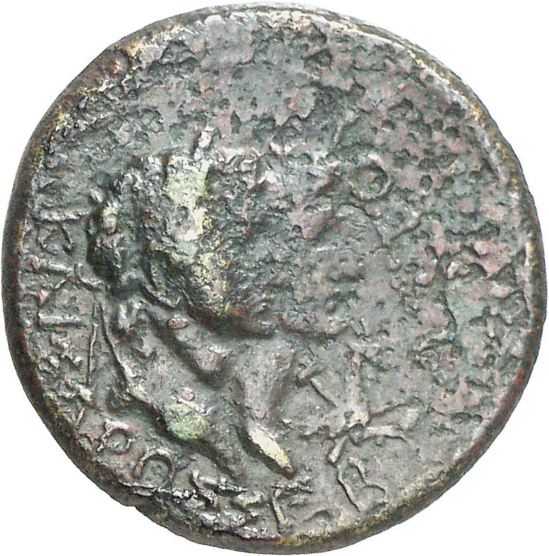 CN Type cn.rhoemetalces_i_sapaean_thrace.1_ed.4, реверс, cn-coins
