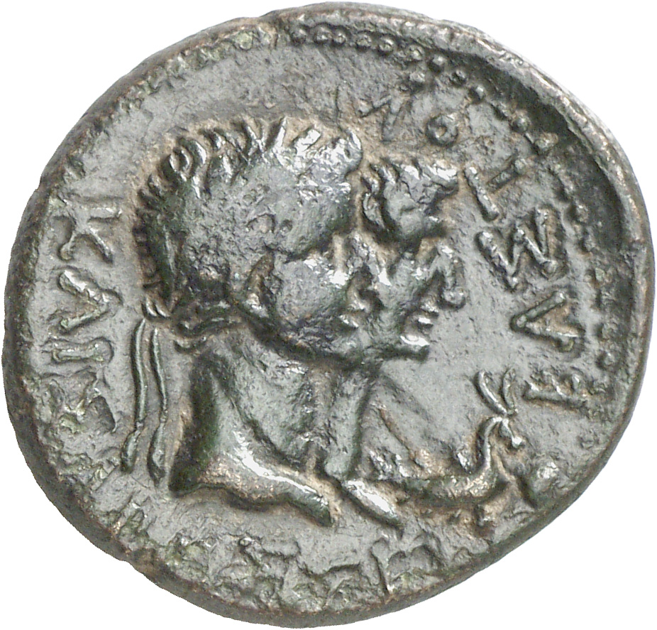 CN Type cn.rhoemetalces_i_sapaean_thrace.1_ed.5, реверс, cn-coins