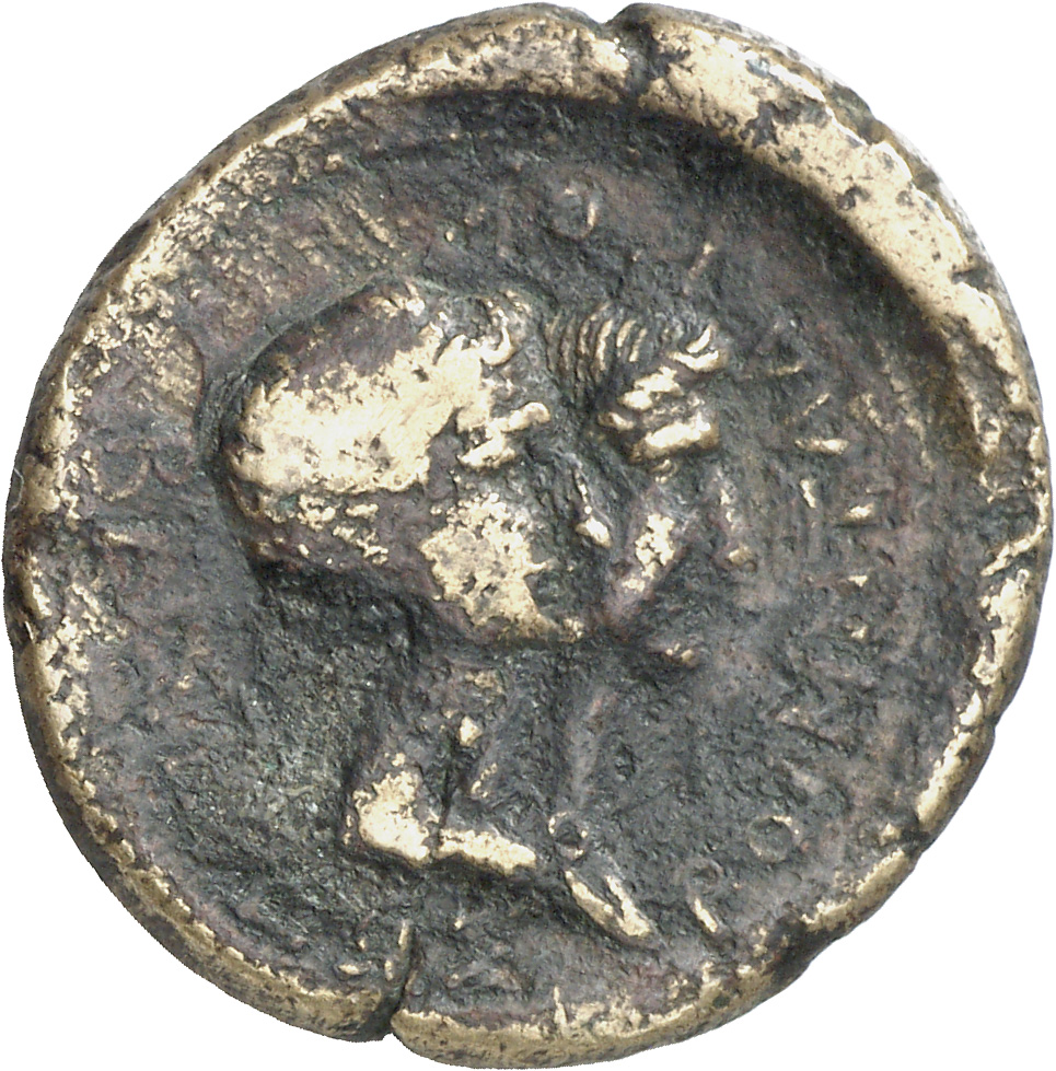 CN Type cn.rhoemetalces_i_sapaean_thrace.1_ed.5, аверс, cn-coins
