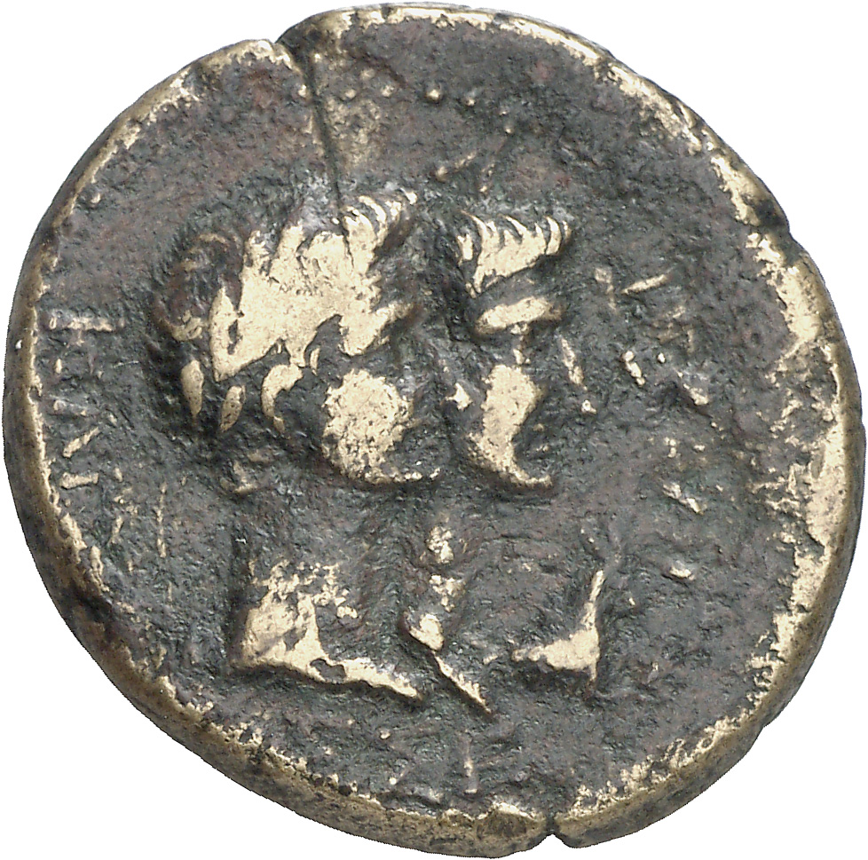 CN Type cn.rhoemetalces_i_sapaean_thrace.1_ed.5, реверс, cn-coins