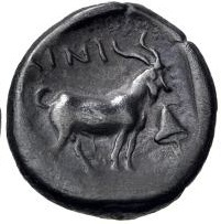 coin rev