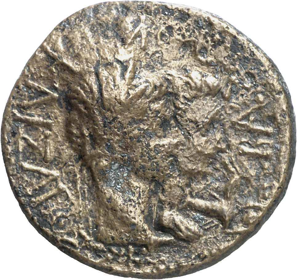 CN Type cn.rhoemetalces_i_sapaean_thrace.1_ed.5, реверс, cn-coins