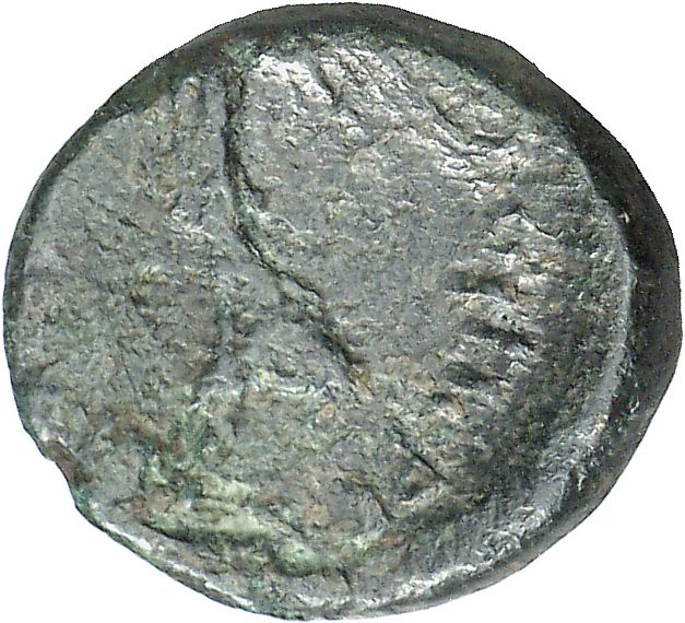 CN Type cn.rhaescuporis_i_sapaean_thrace.1_ed.2, реверс, cn-coins