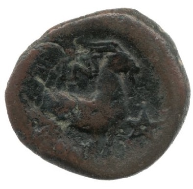 coin rev