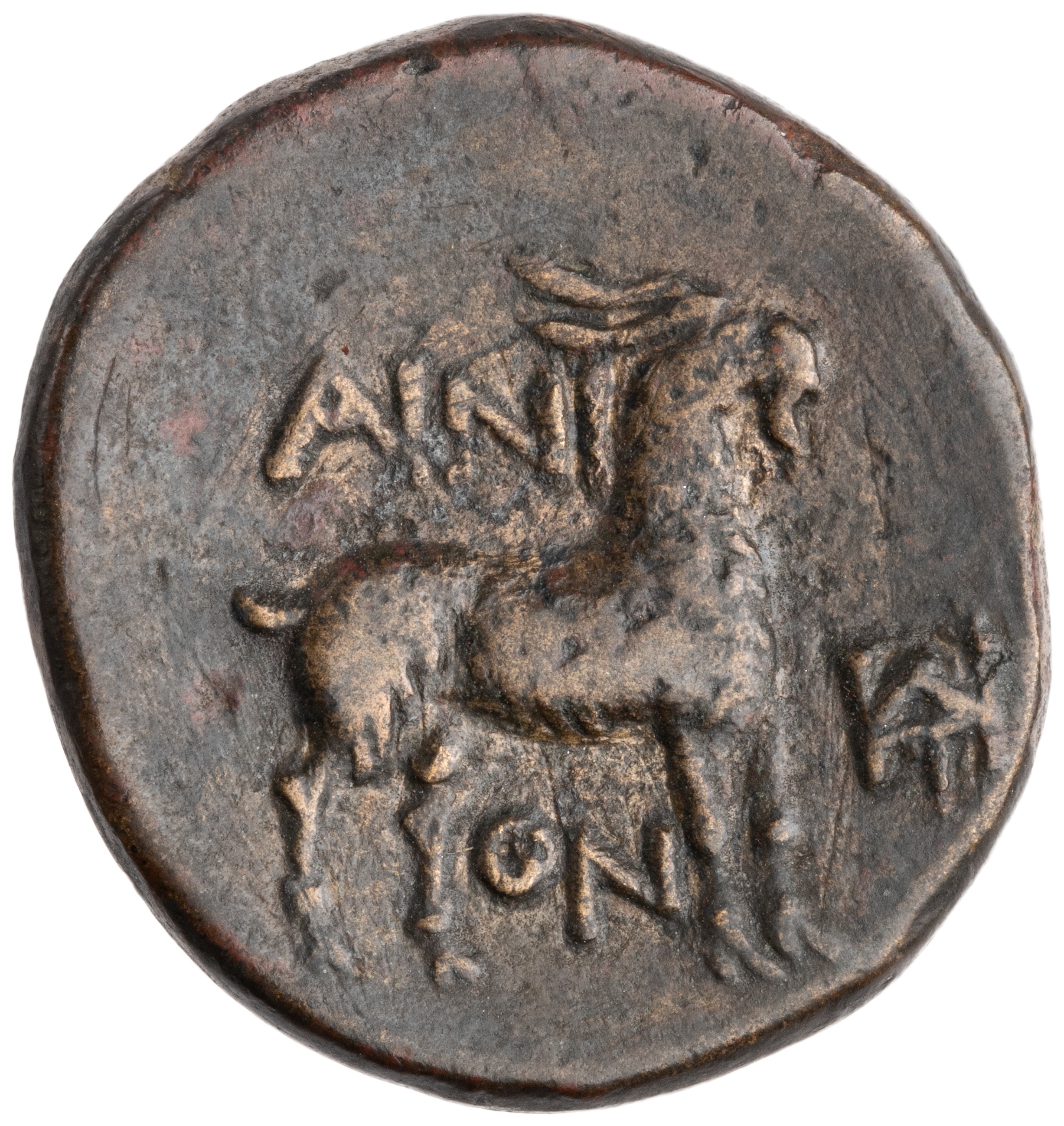 CN Type cn.aenus.1_ed.150, реверс, cn-coins
