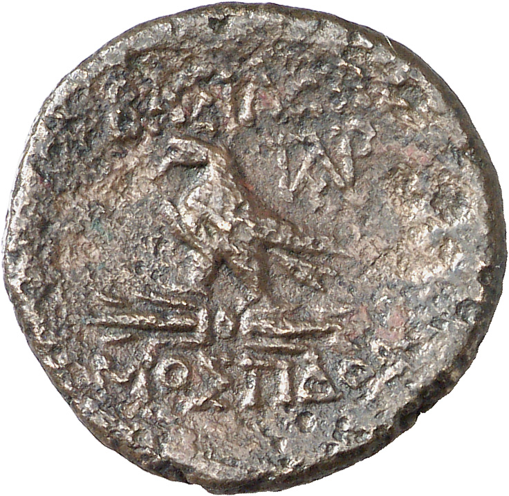 CN Type cn.mostis_caeni.1_ed.5, реверс, cn-coins