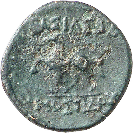 CN Type cn.mostis_caeni.1_ed.7, реверс, cn-coins