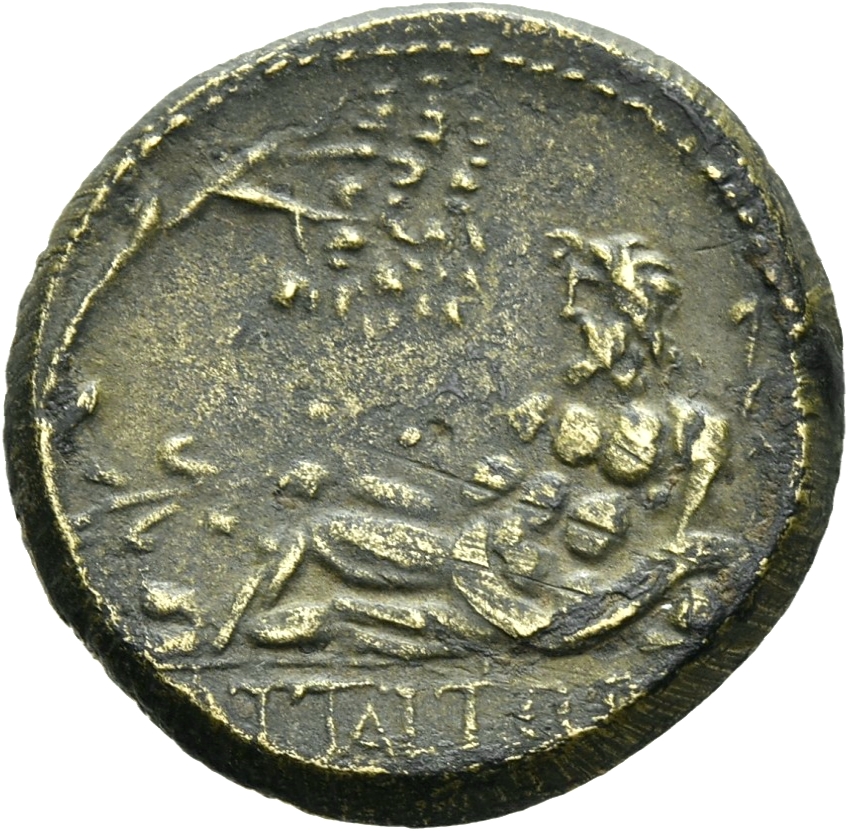 reverse CN Type 16990
