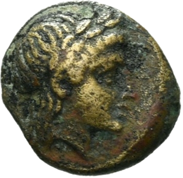 coin rev