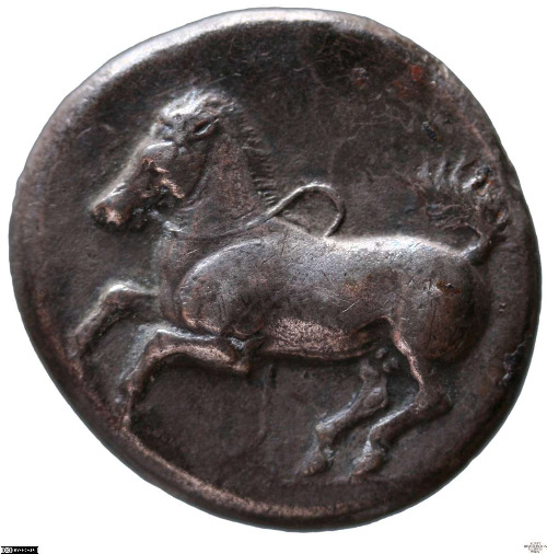 CN Type cn.maroneia.1_ed.143, аверс, cn-coins