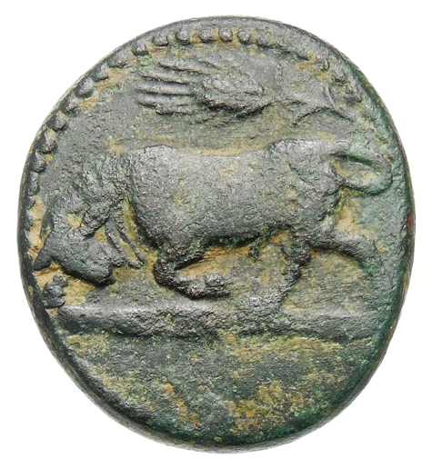 CN Type cn.madytus.1_ed.4, аверс, cn-coins