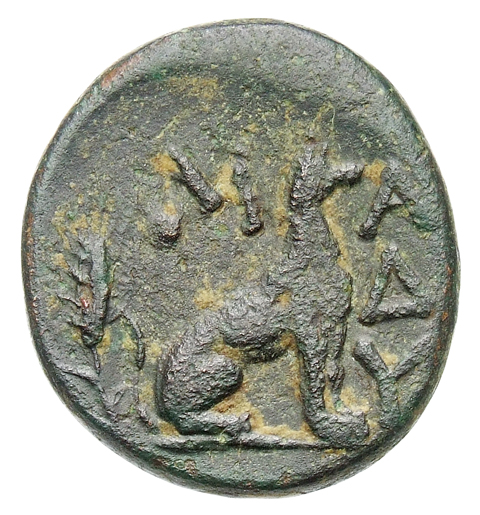 CN Type cn.madytus.1_ed.4, реверс, cn-coins