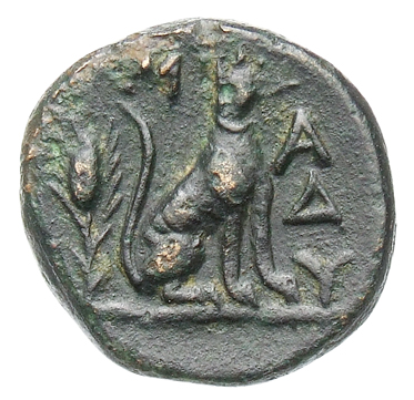 реверс CN Type cn.madytus.1_ed.6