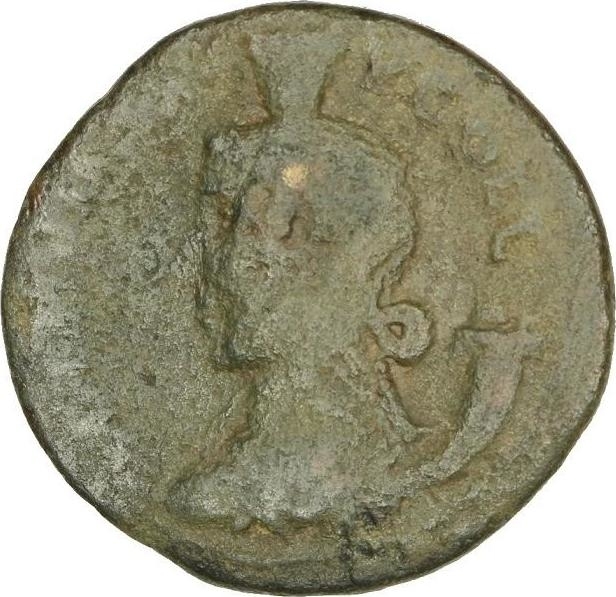 reverse CN Type cn.coela.1_ed.113