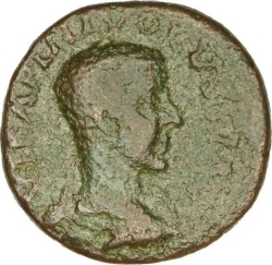 obverse CN Type cn.coela.1_ed.116