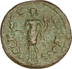 reverse CN Type cn.coela.1_ed.116