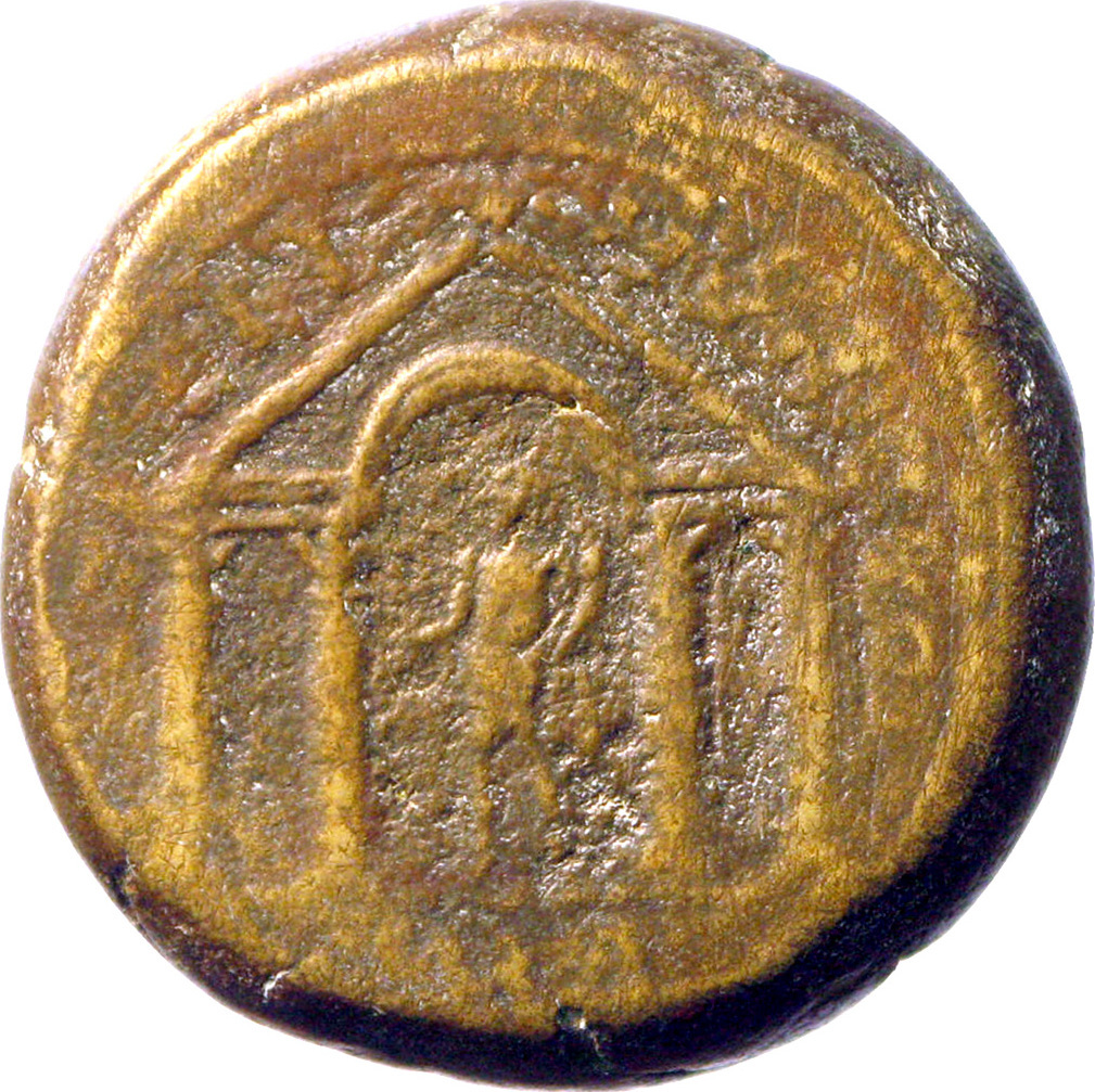 reverse CN Type cn.coela.1_ed.111