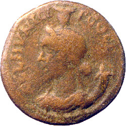reverse CN Type cn.coela.1_ed.109