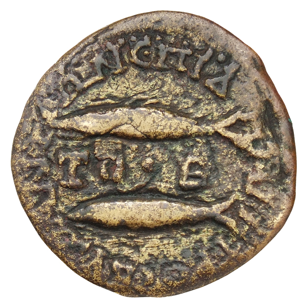 реверс CN Type cn.byzantium.1_ed.299