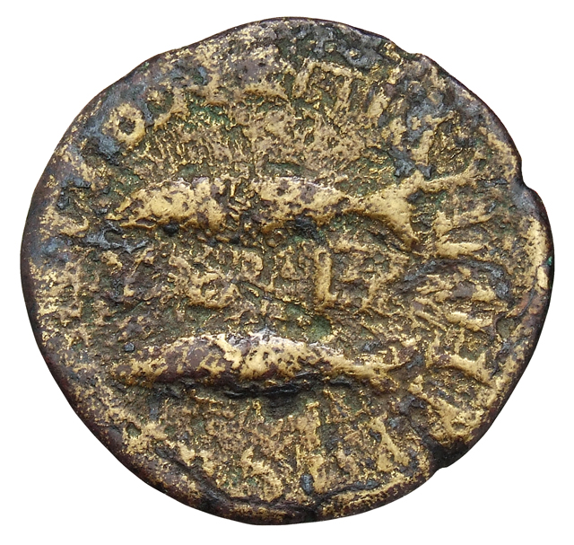 CN Type cn.byzantium.1_ed.299, реверс, cn-coins