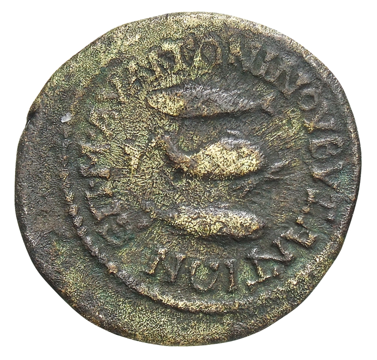 реверс CN Type cn.byzantium.1_ed.428